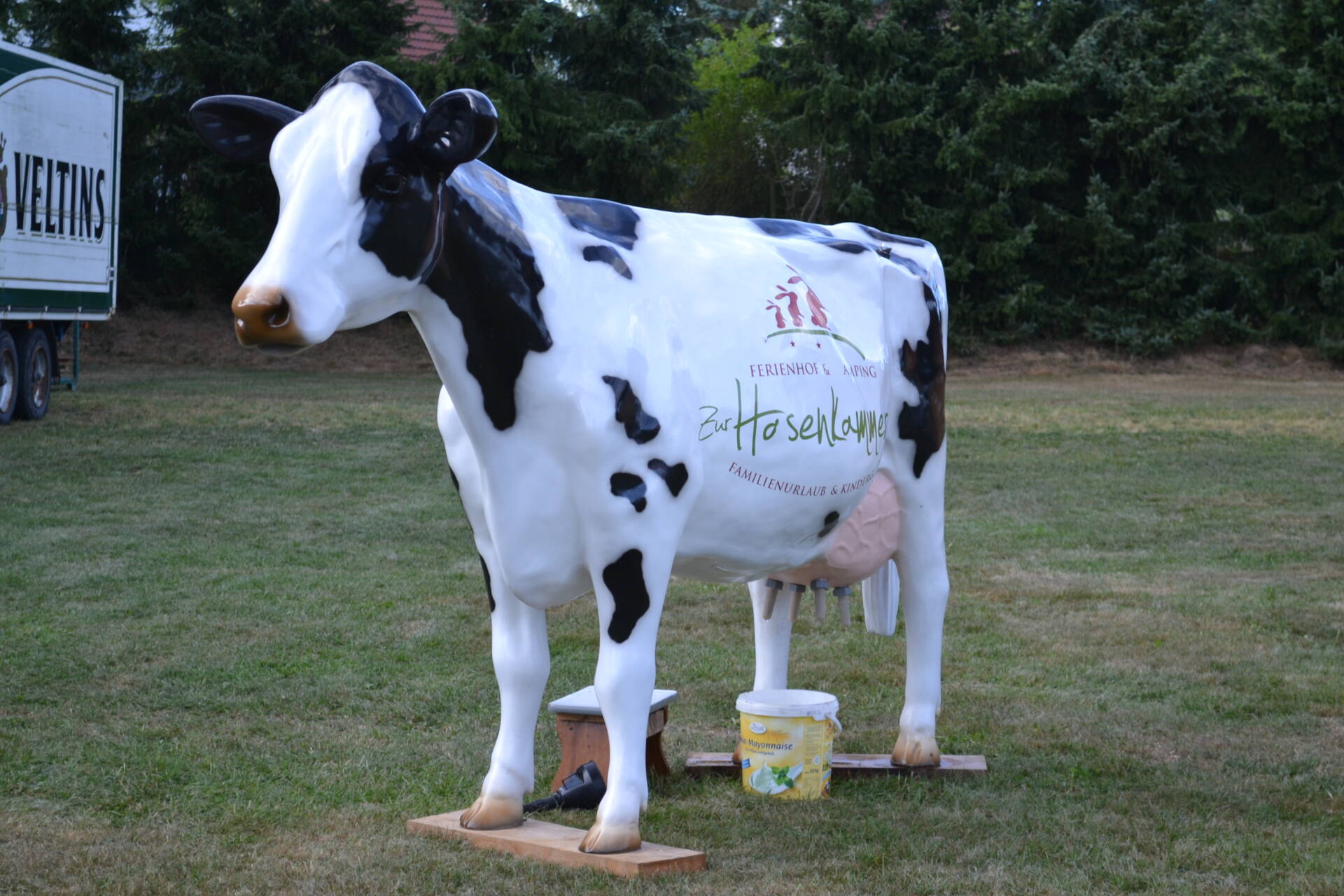 Oberntorfest Medebach Melkkuh
